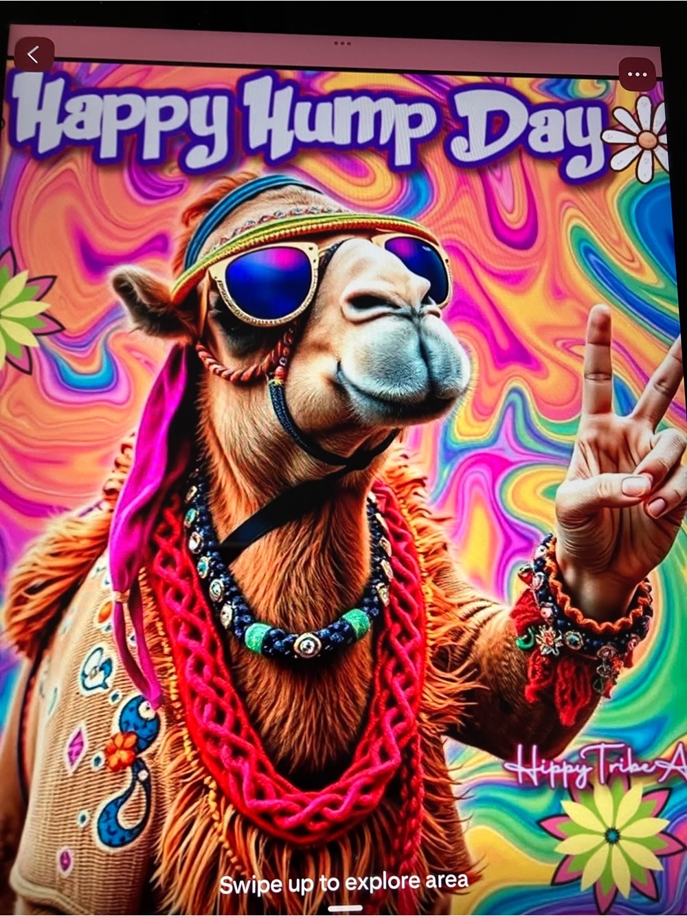 Hey Posh friends having a Hump Day fall clearance come check it out 10/7 3:30